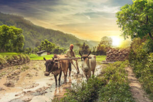 Modern farming equipment provided through government subsidy programs to support Indian agriculture. Government subsidies for Indian farmers