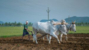 Union India Budget 2025 Farming– key tax changes, economic impact, and sector-wise benefits presented by the Finance Minister of India