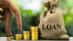 Self employment minorities Loans Andhra Pradesh through government corporations