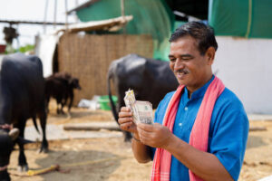 Most profitable livestock farming businesses in India 2025 including cows, goats, poultry, and fish farming. Profitable Livestock Farming India. - Teluguways.com