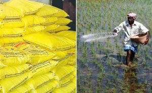 Fertilizer Subsidy Government Policy 🌾 రైతులకు ఎరువుల సబ్సిడీ లాభాలు