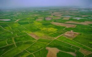 Land Partition Fraud in Family Case