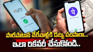 PhonePe wrong UPI money transfer help guide