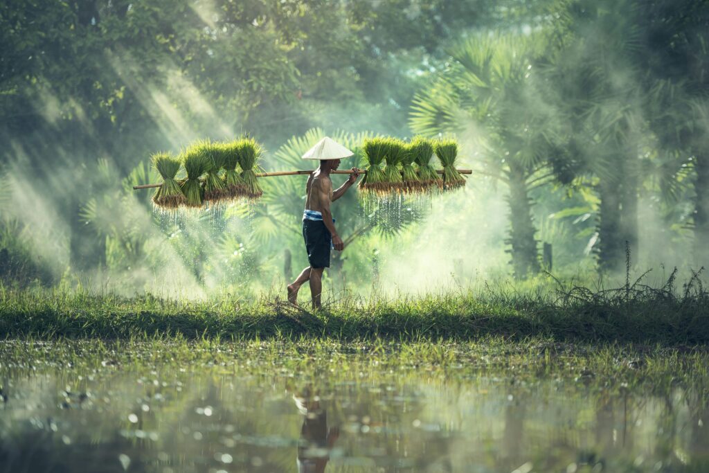 Government schemes for agricultural farmers india-Teluguways.com