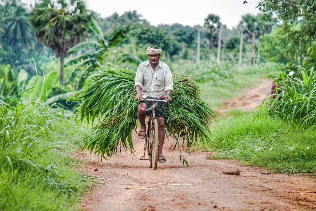The 19th installment of PM-Kisan is a testament to the government’s-Teluguways.com