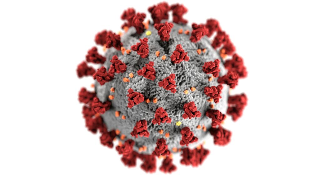 Human Metapneumovirus (HMPV) is a relatively common but lesser-known virus that primarily targets the respiratory system. .HMPV Paramyxoviridae family of viruses. Teluguways.com