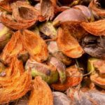 Profitable business ideas using coconut waste, including coir products, charcoal, compost, and handicrafts.Teluguways.com