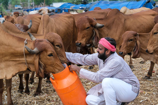 Rashtriya Gokul Mission 2025 - Promoting indigenous cattle breeds, increasing milk production, and supporting farmers with modern breeding techniques.
