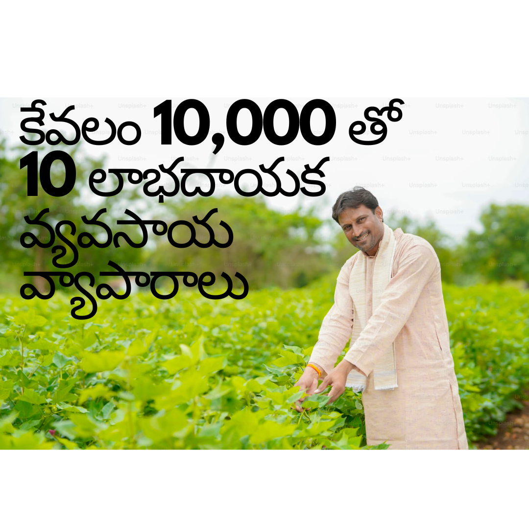 A farmer standing in a green agricultural field under a clear sky, with crops in the background and traditional farming attire, symbolizing rural farming life.