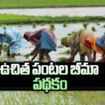 A farmer in a green field during monsoon with an umbrella – symbol of protection from crop Insurance for Farmers - Teluguways.com