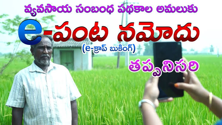 🌾 Crop Booking in Agriculture – రైతుల తమ పంటను నమోదు చేసుకోండి & ప్రభుత్వ సాయం పొందండి