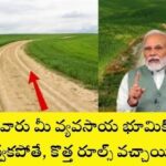 Government rules on agricultural land access for farmers rights and pathway disputes resolution in villages