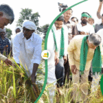 AP AIMS 2.0 Agriculture Information System for Farmers in Andhra Pradesh
