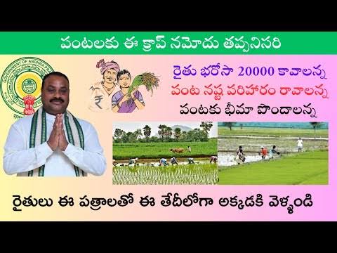 AP e-Crop Booking 2025 Deadline for Farmers in Andhra Pradesh