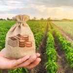 Banks not lending to agriculture sector – రైతులకు రుణాలు తగ్గిపోతున్నాయి 🌾💰