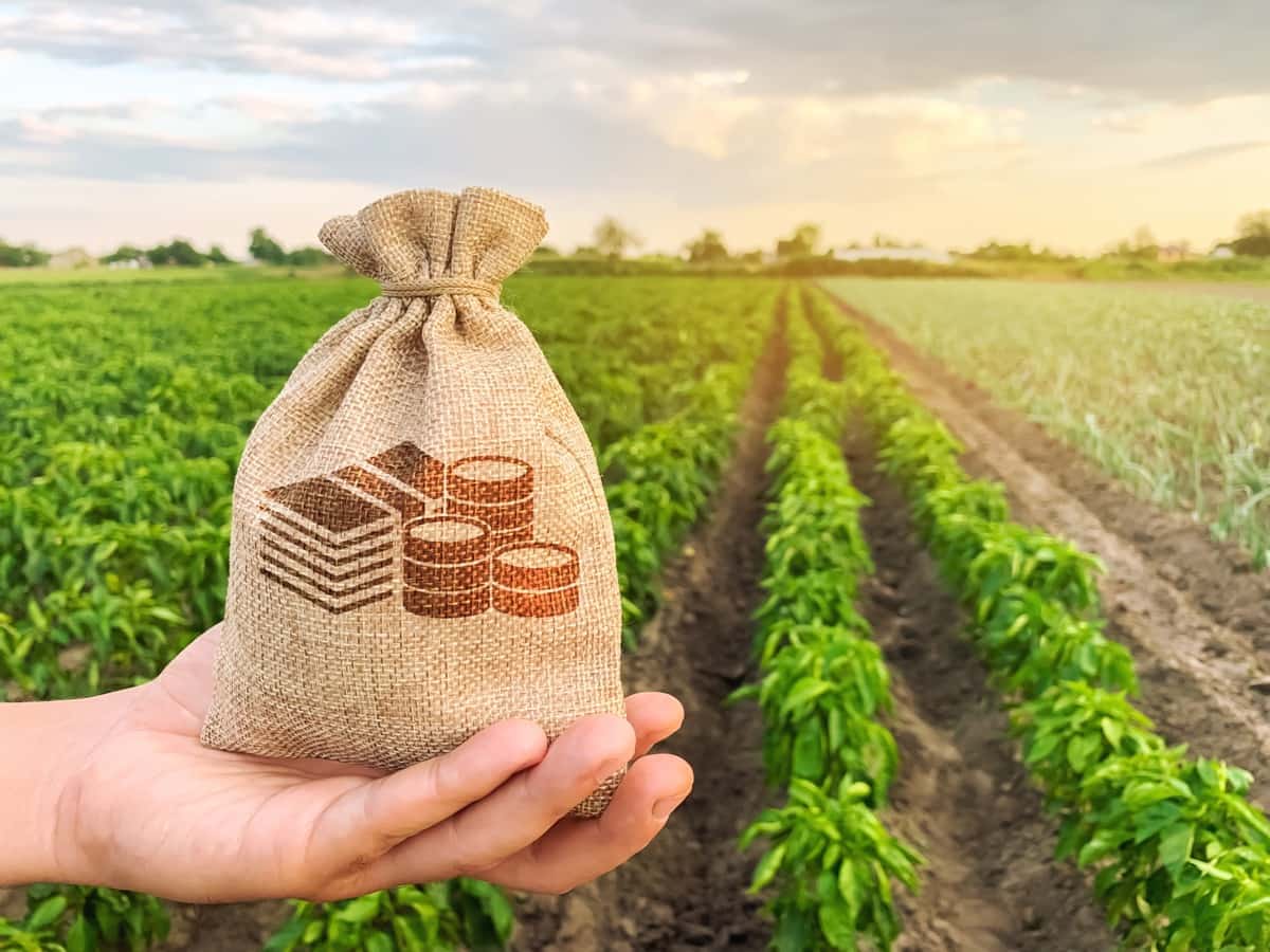 Banks not lending to agriculture sector – రైతులకు రుణాలు తగ్గిపోతున్నాయి 🌾💰