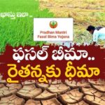 Crop insurance box with premium rates for Indian farmers in Telugu