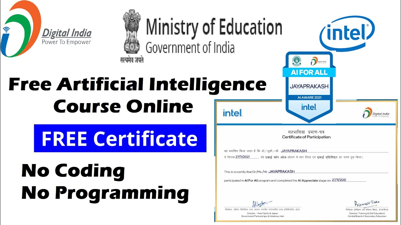 Youth learning AI through free government training program in India