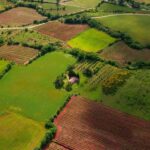 Farmers completing AP agricultural land registration for inherited farmland